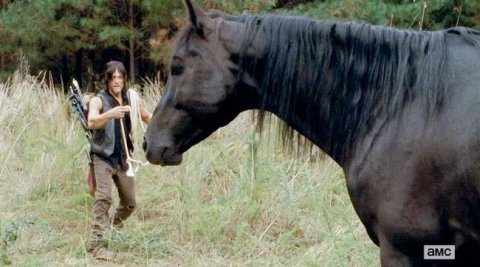 Walking Dead Symbolism